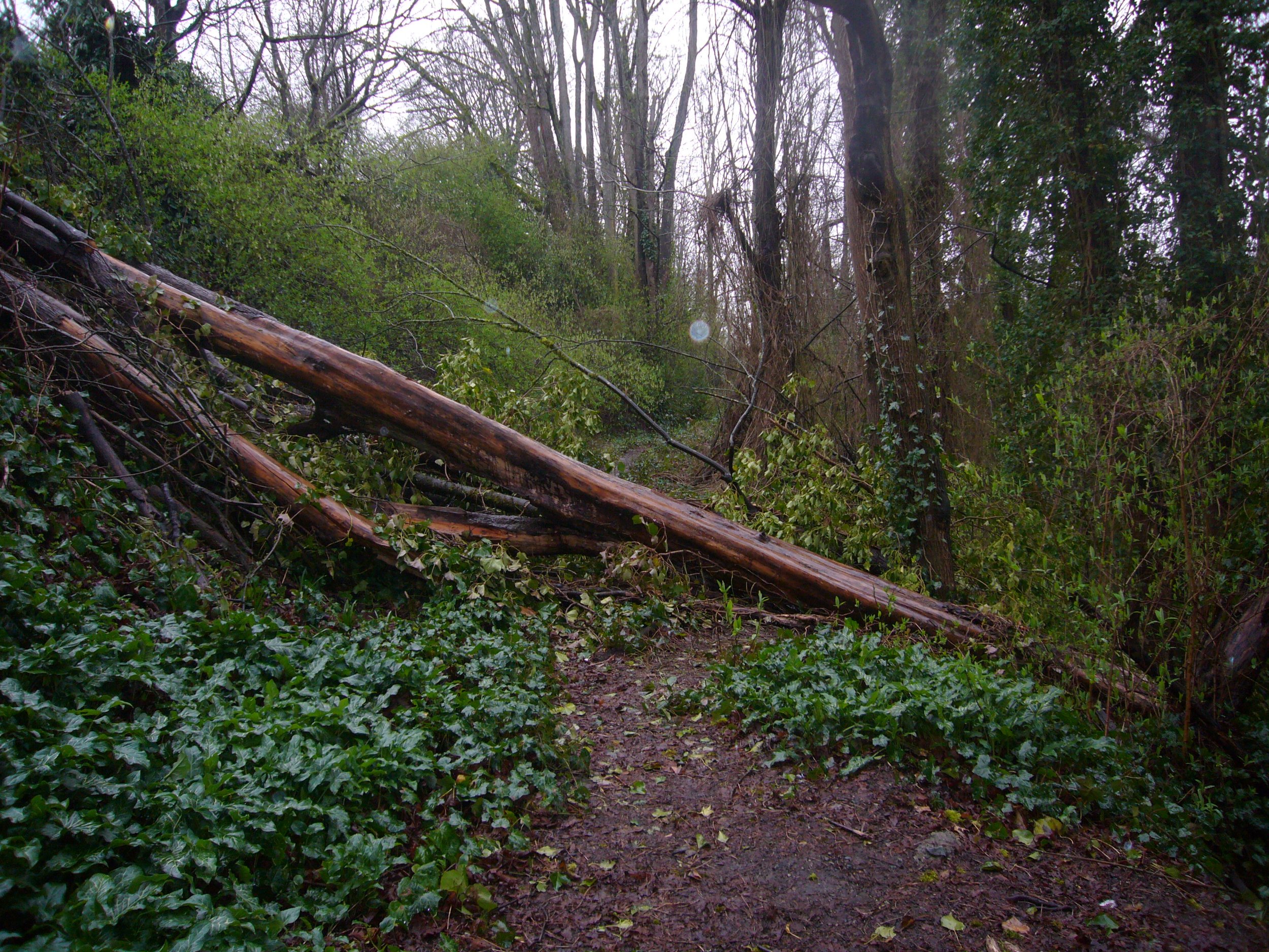 2011 image 27