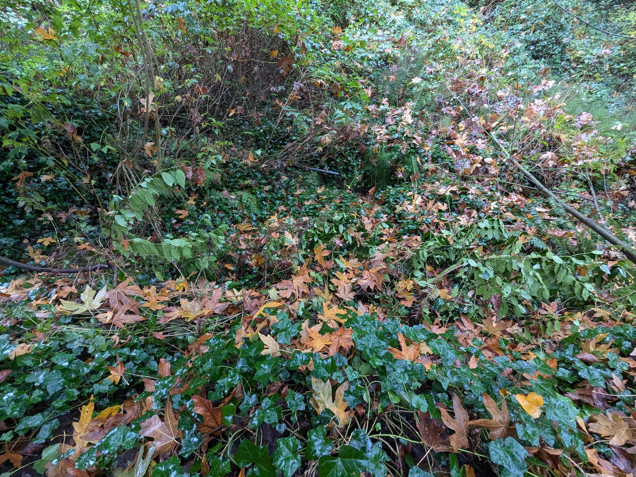 2024 image 110