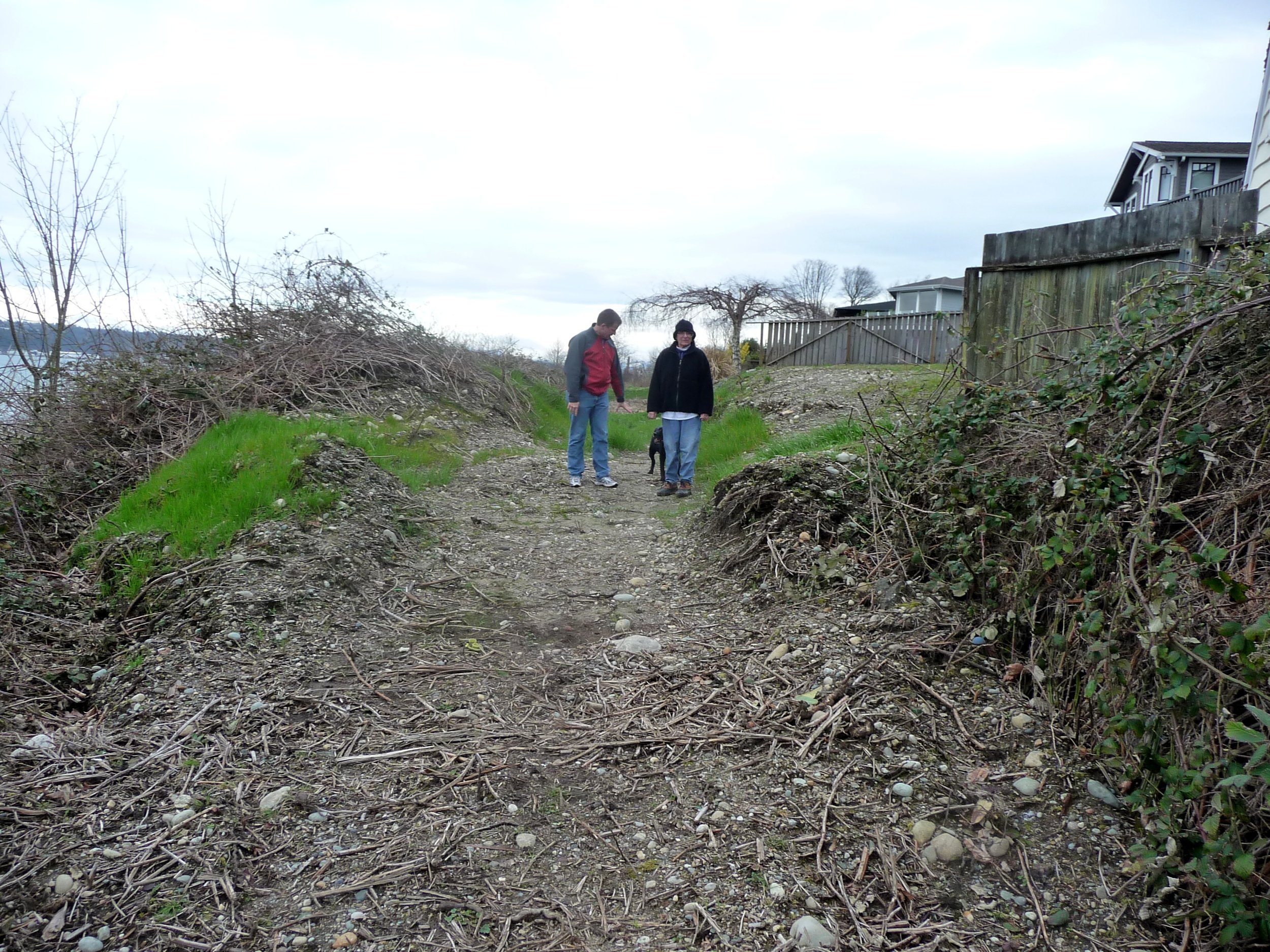 2011 image 39