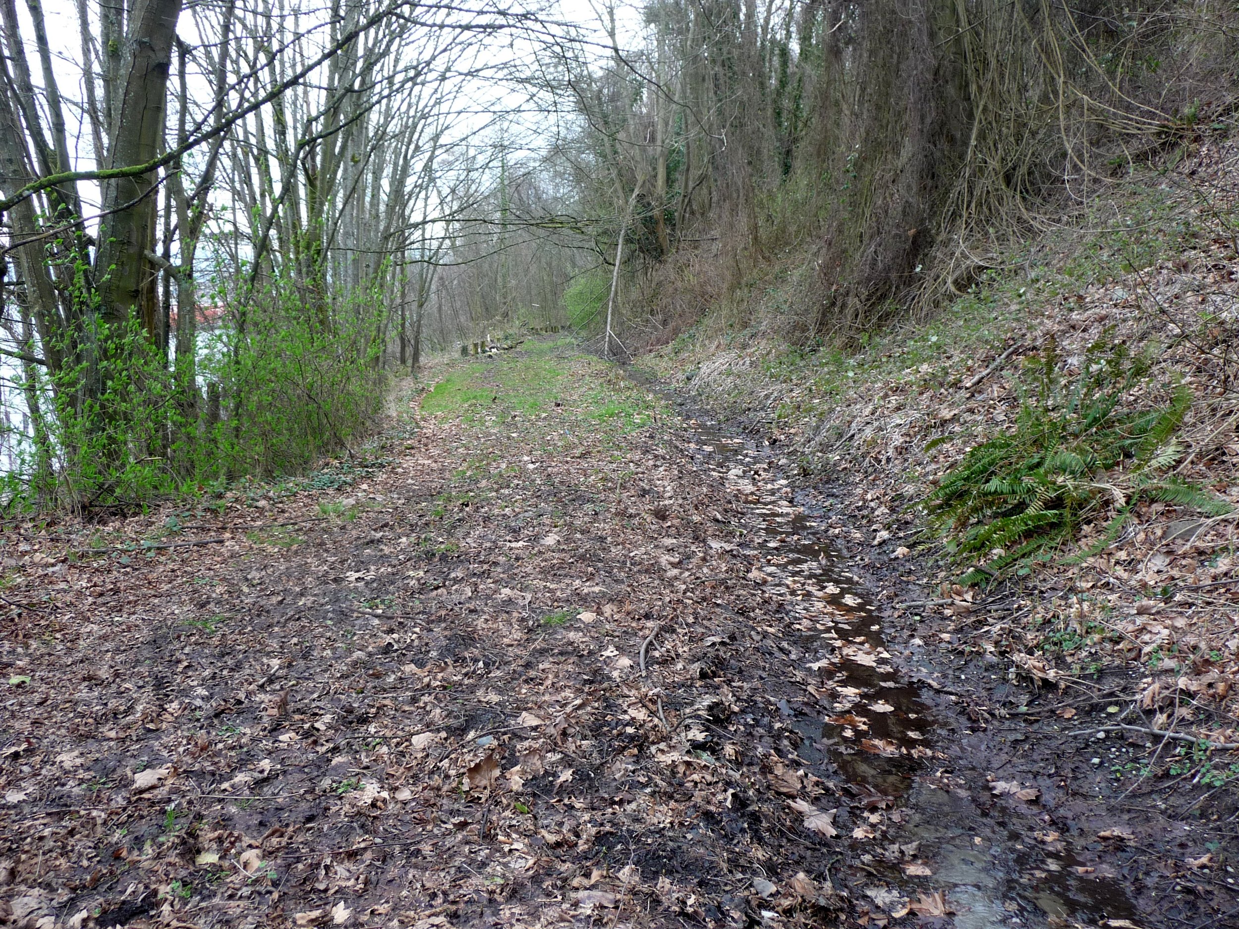 2011 image 33