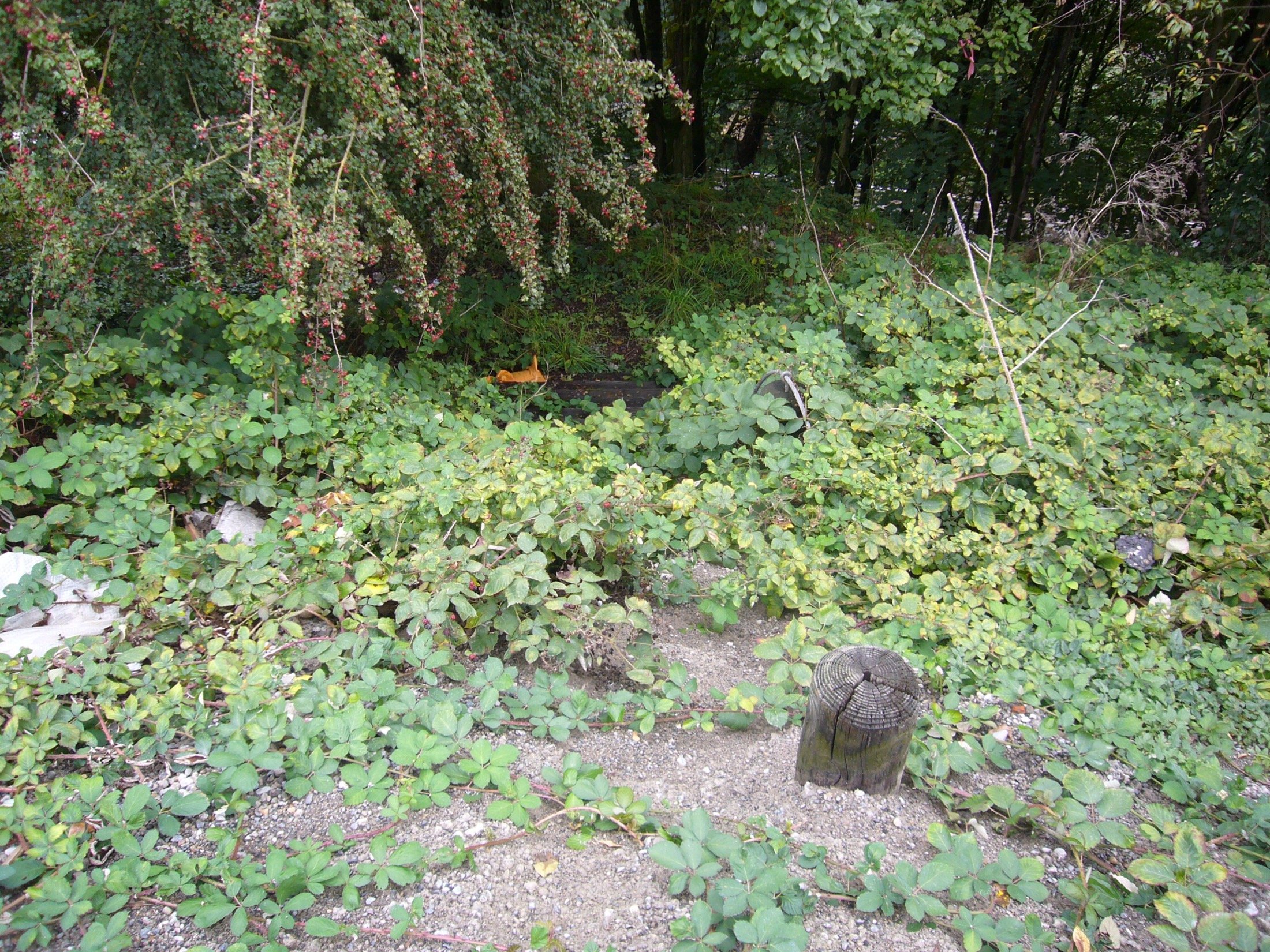 2013 image 5