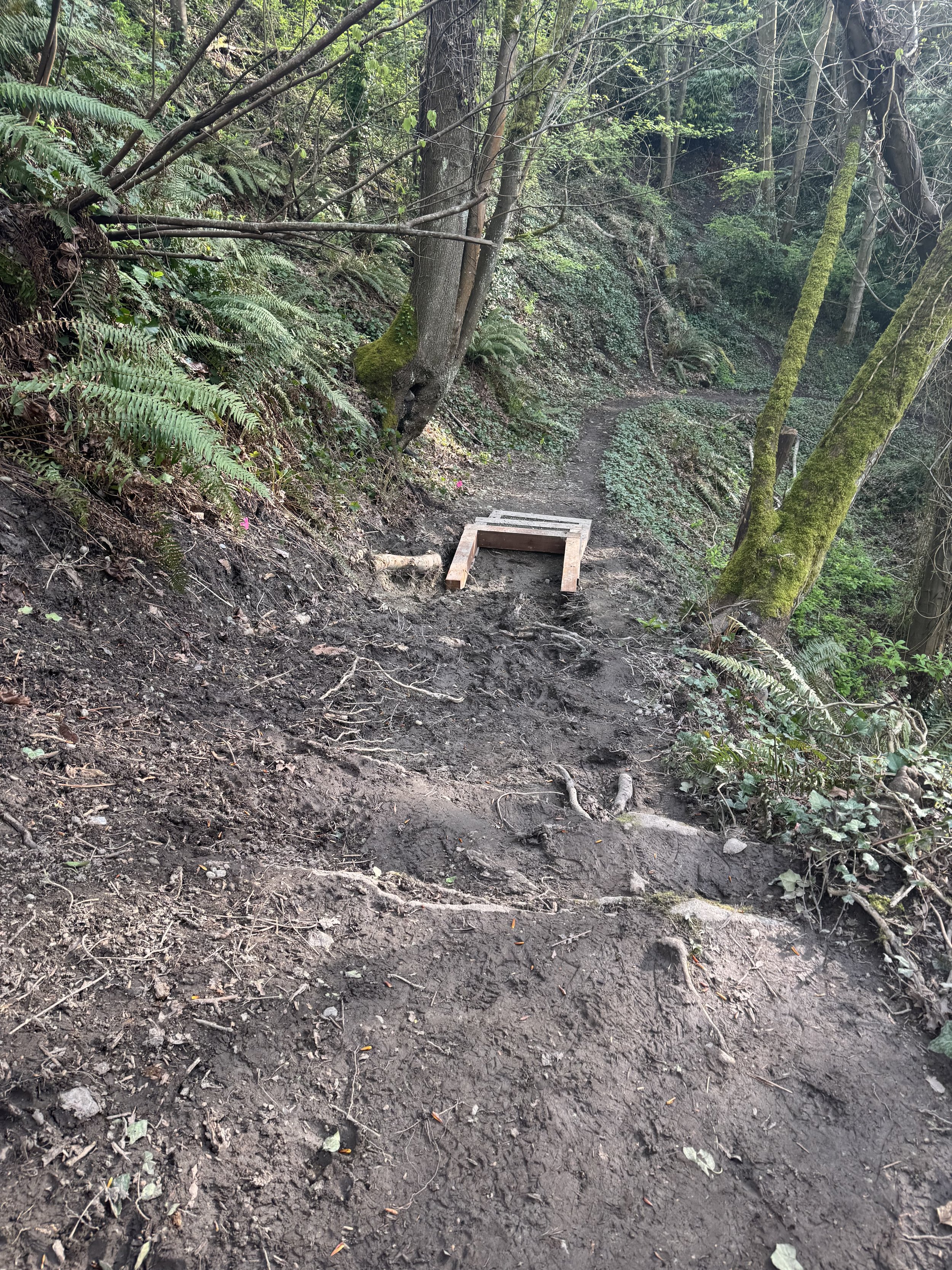 2025 image 7