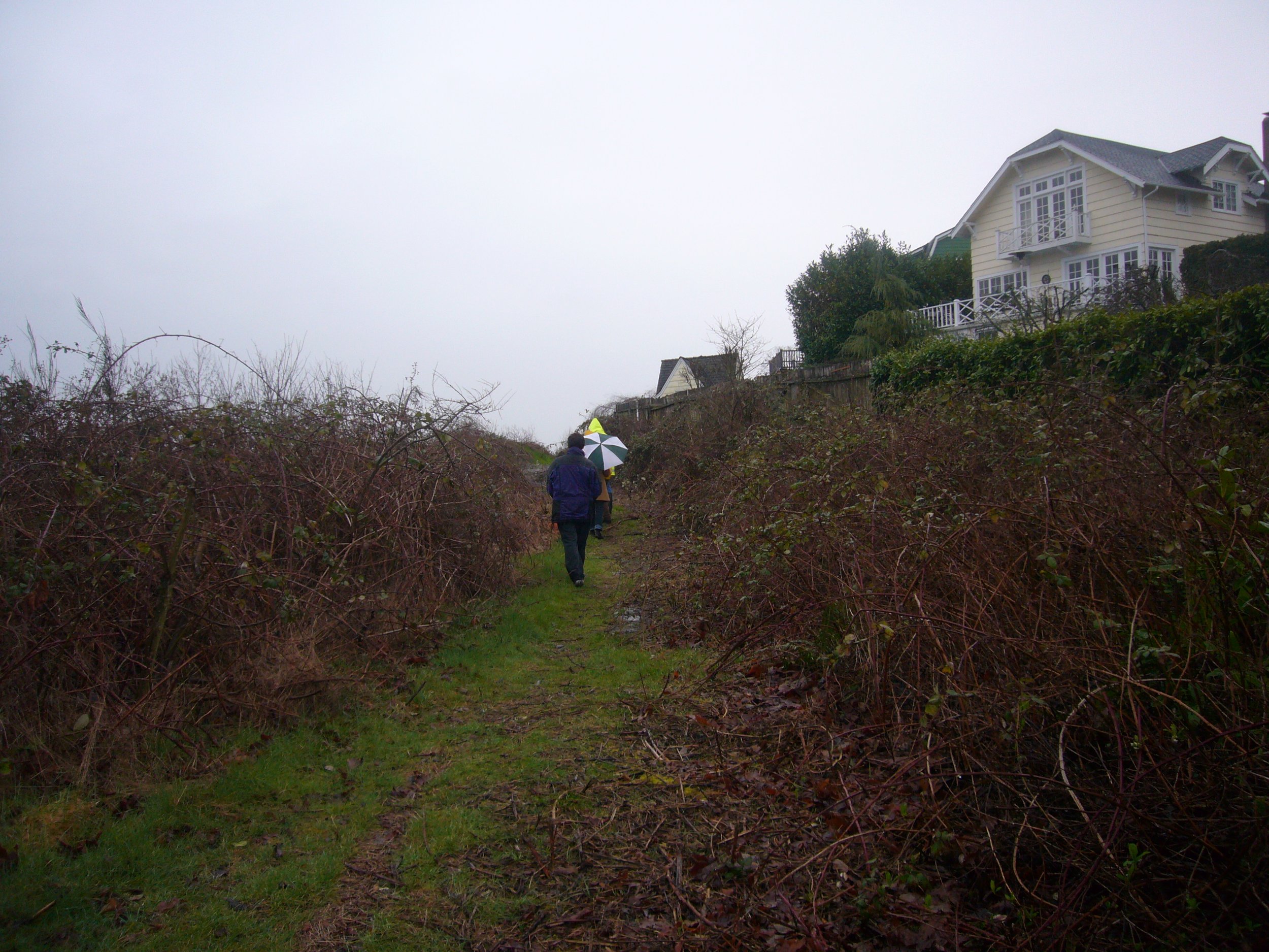 2011 image 29