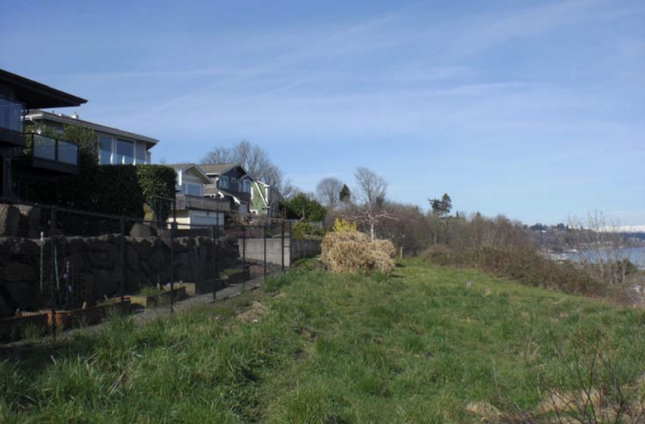 2011 image 7