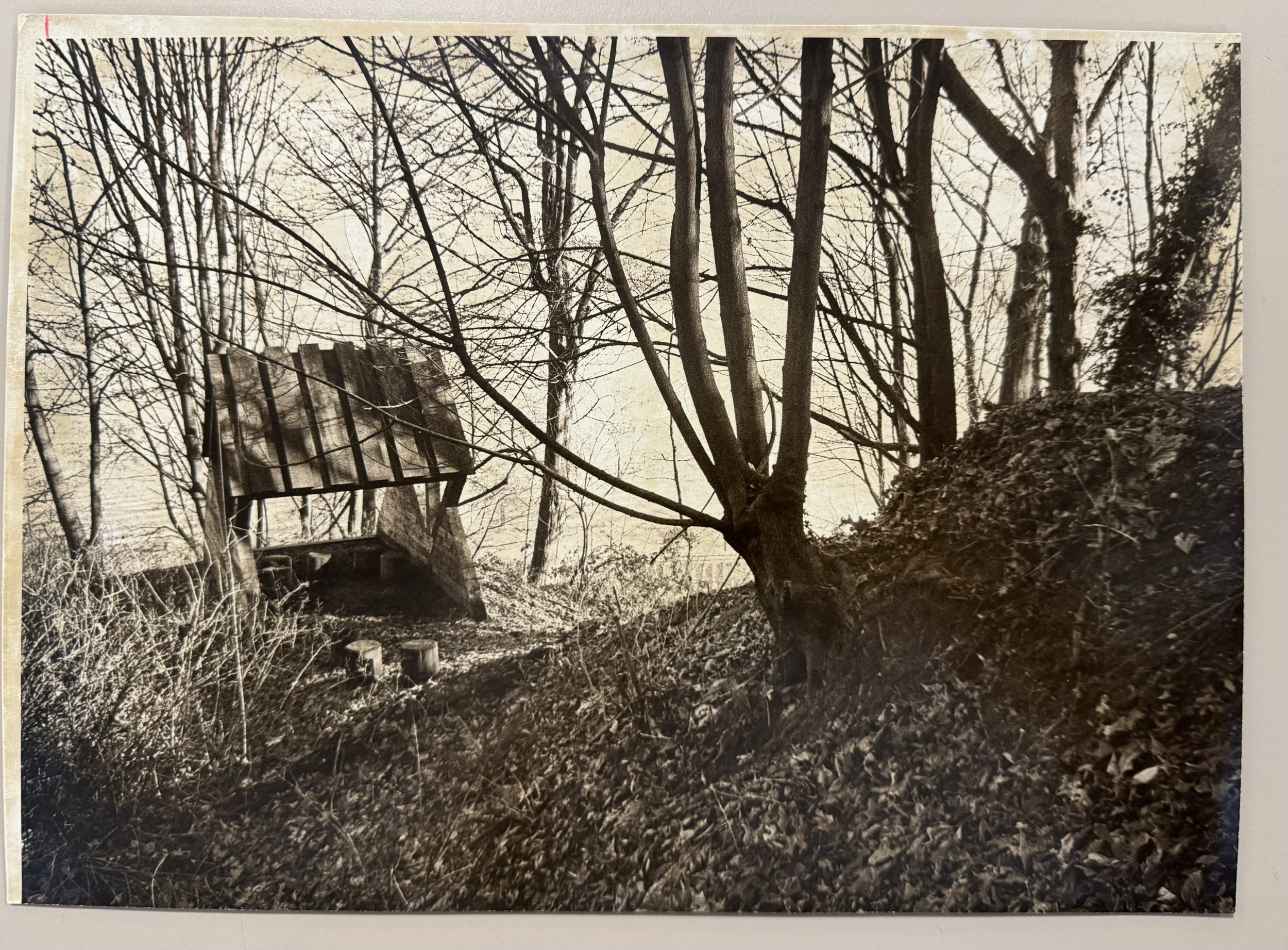 1977 image 3