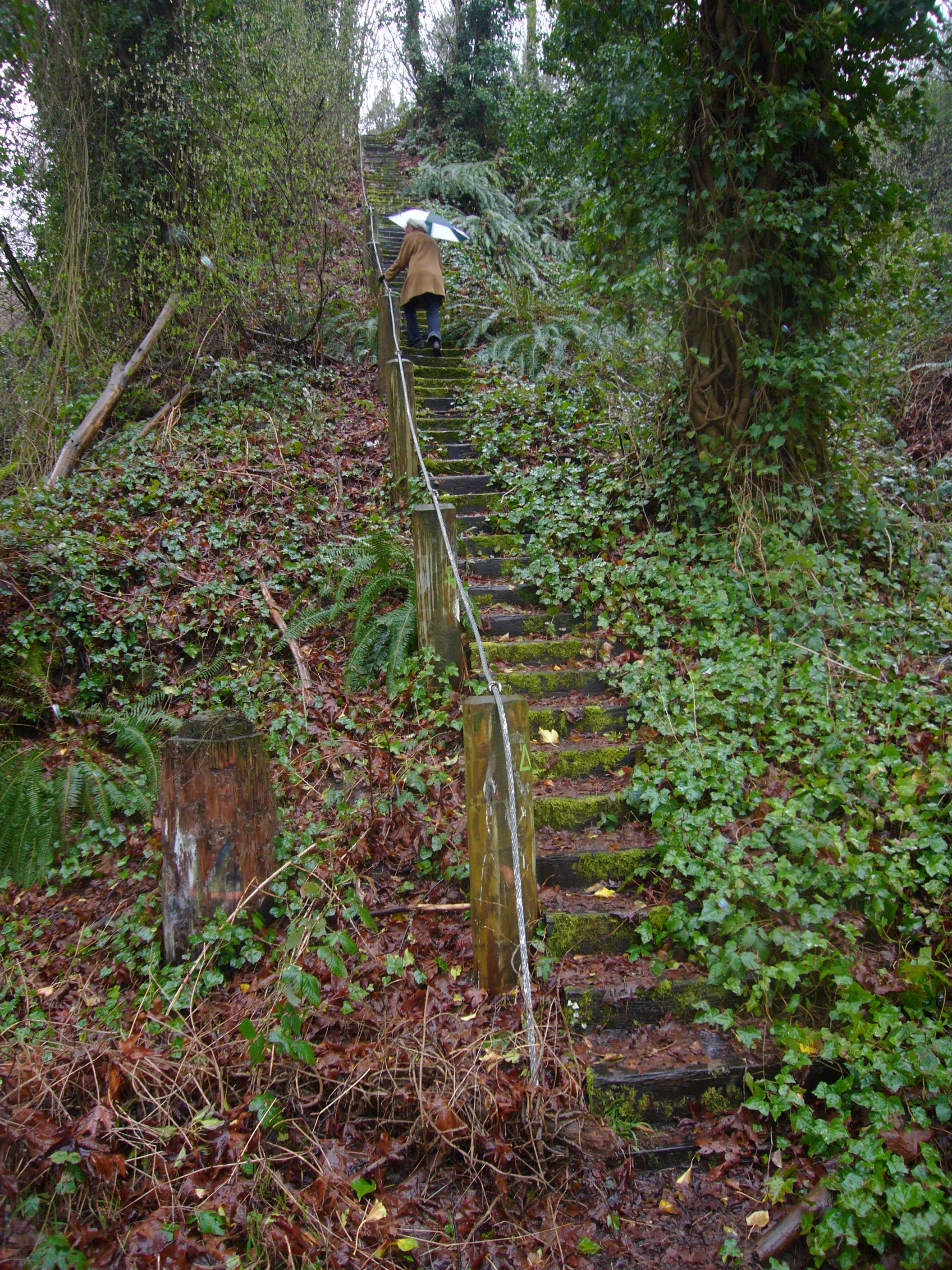 2011 image 22