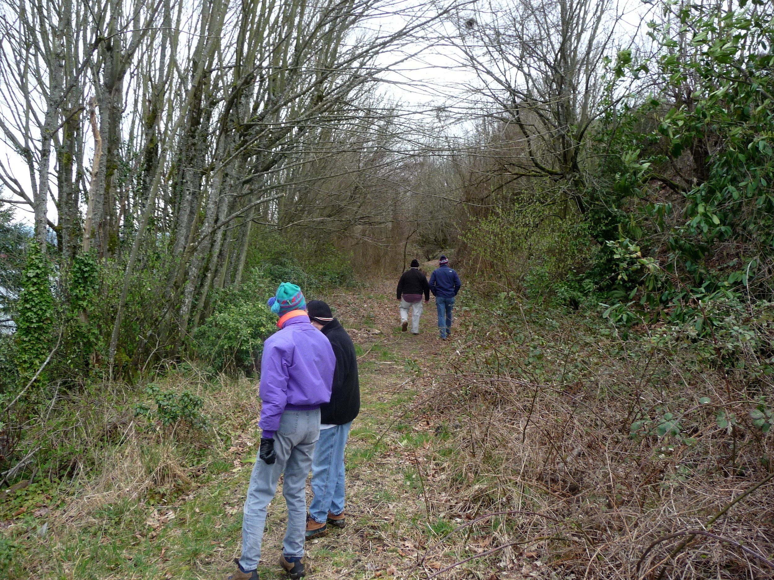 2011 image 37