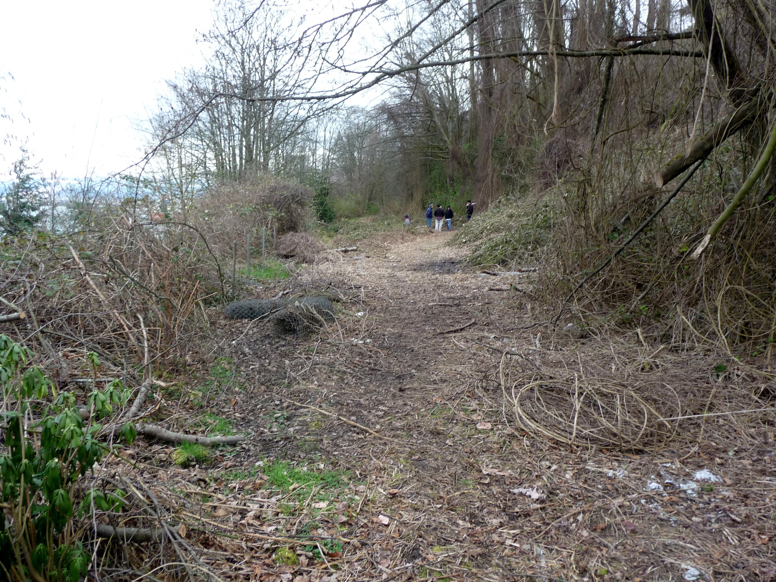 2011 image 34