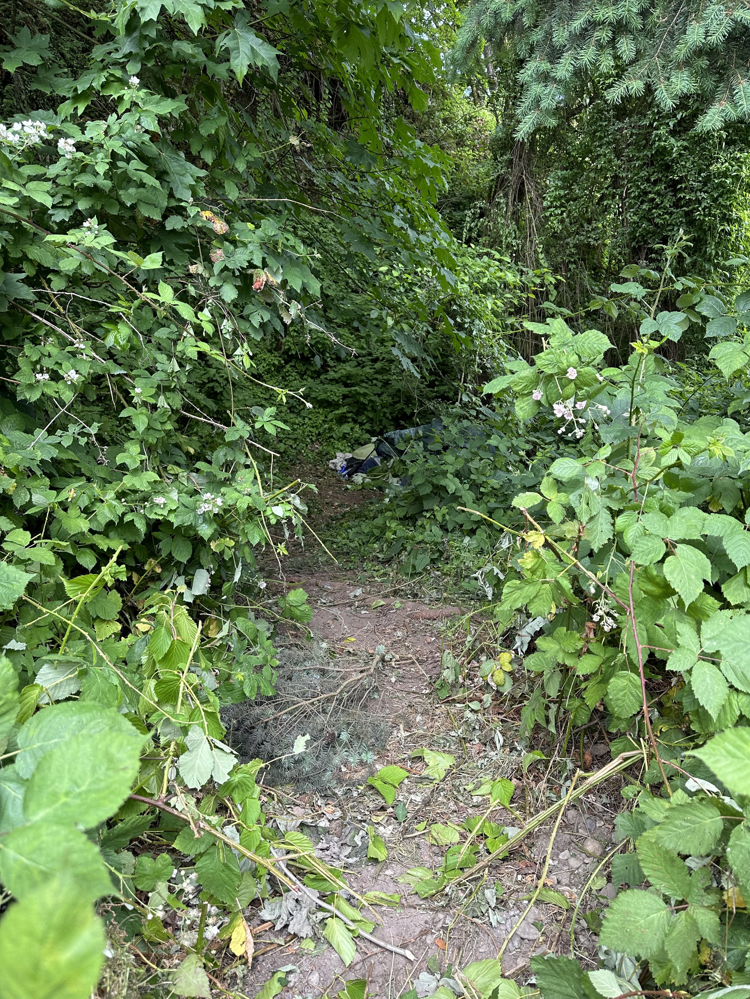2023 image 20