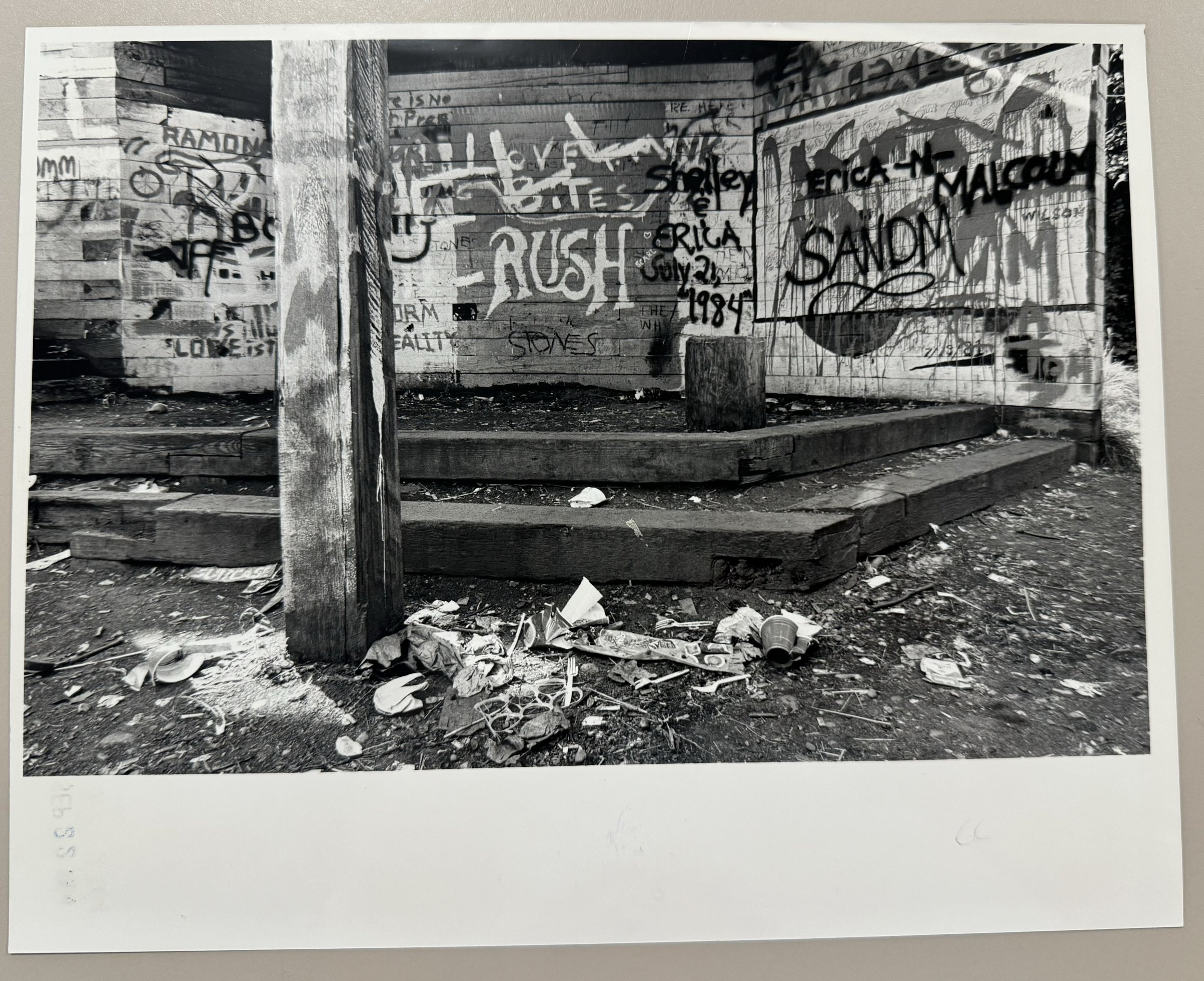 1984 image 1