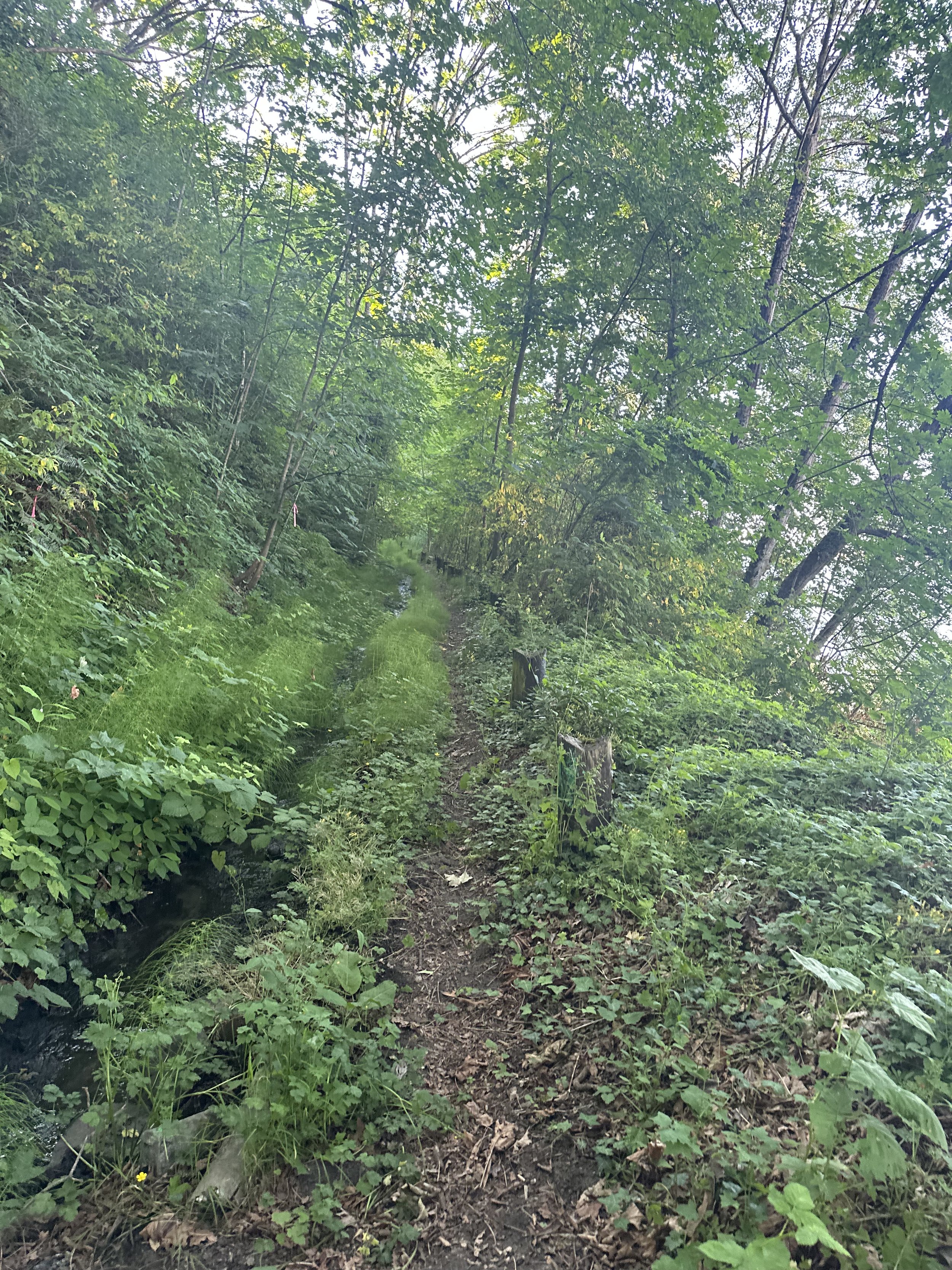 2023 image 11