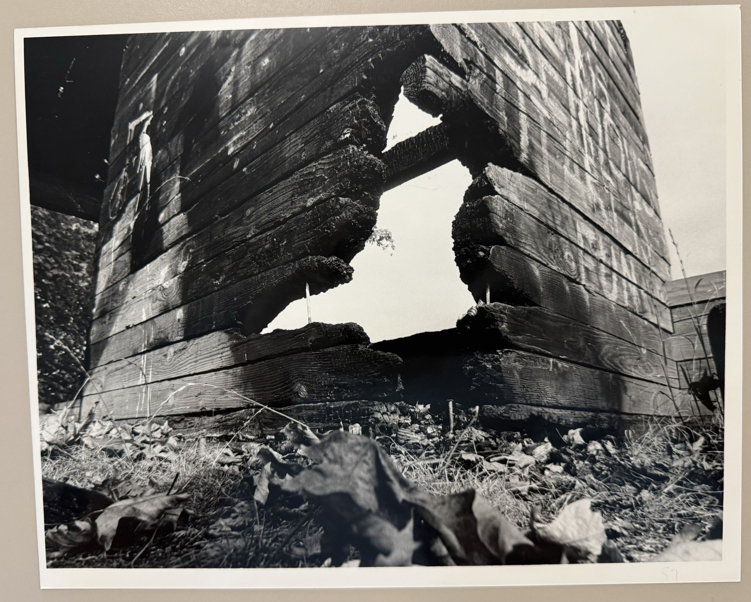 1984 image 2