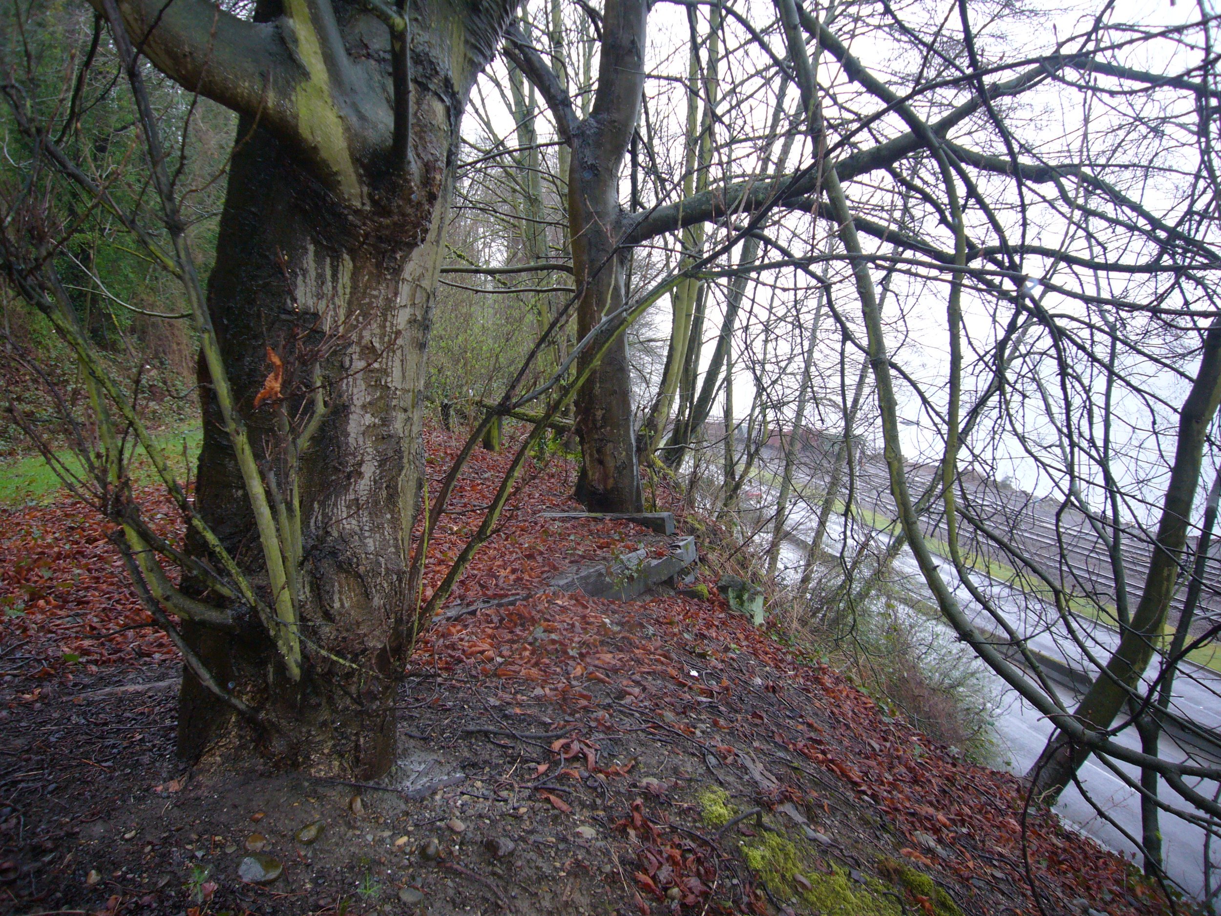 2011 image 21