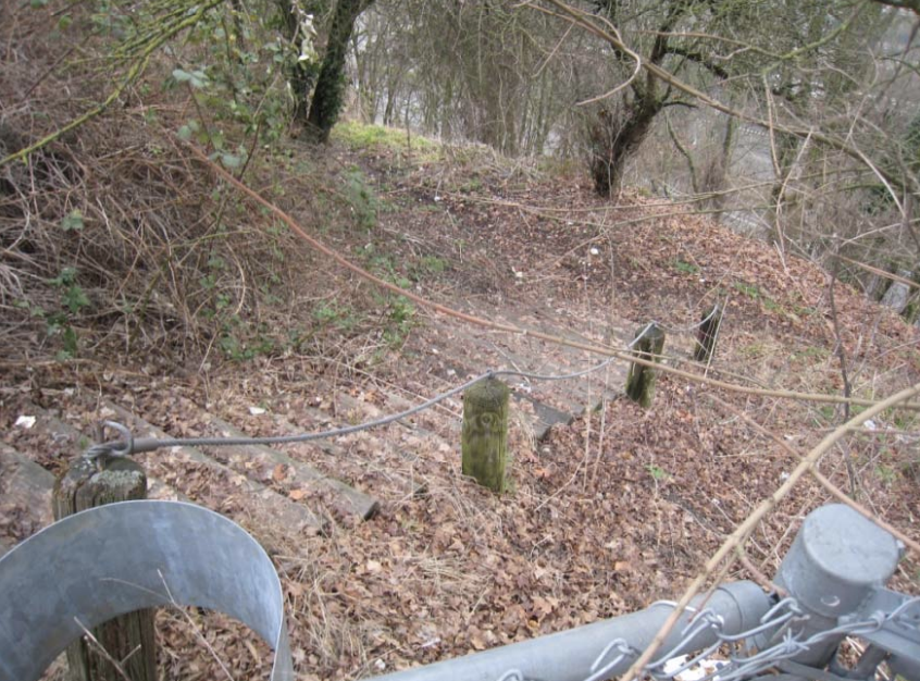 2011 image 10