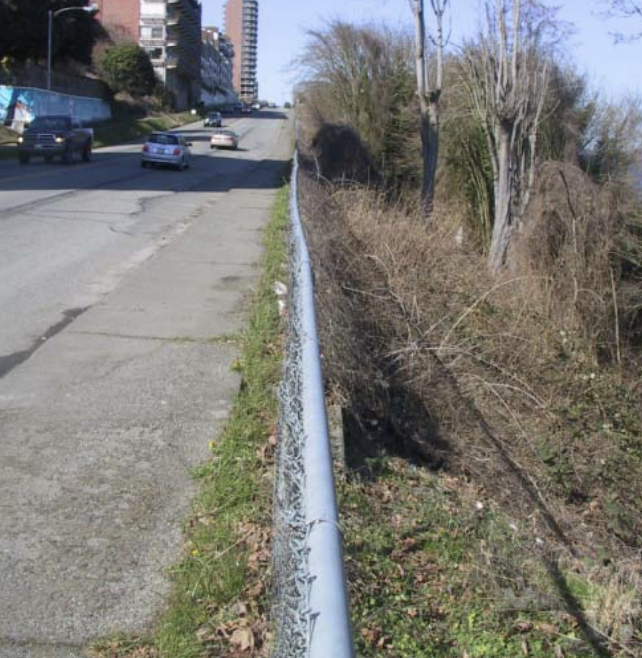 2011 image 15