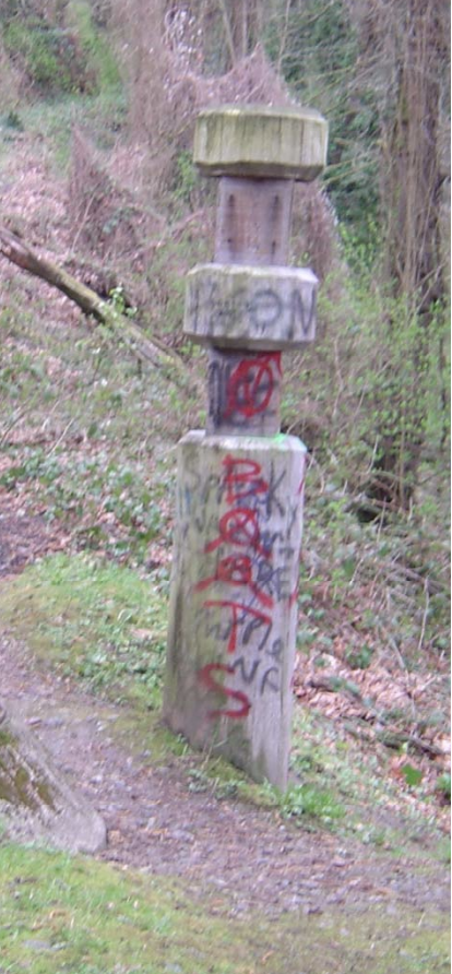 2011 image 4