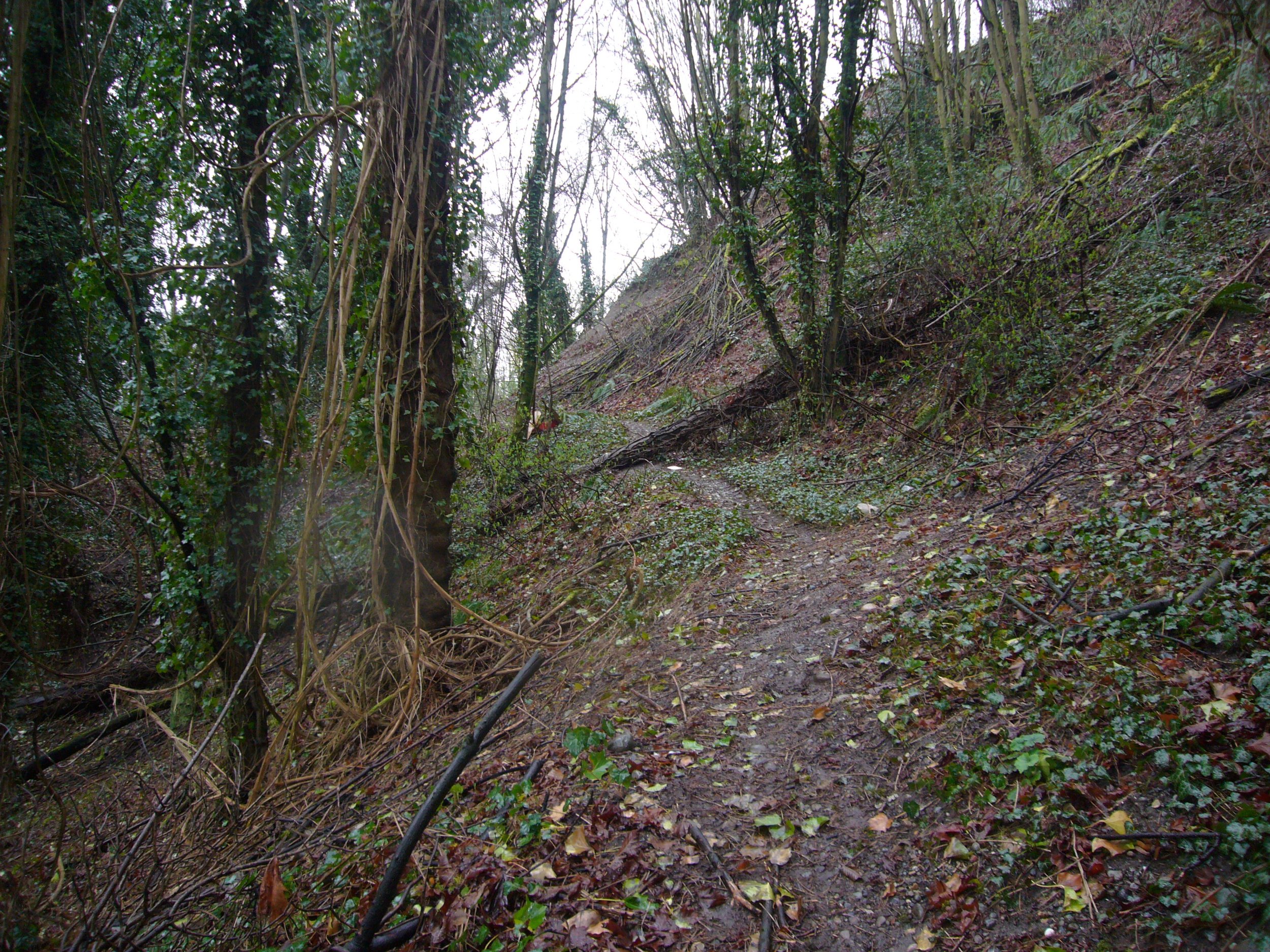 2011 image 25