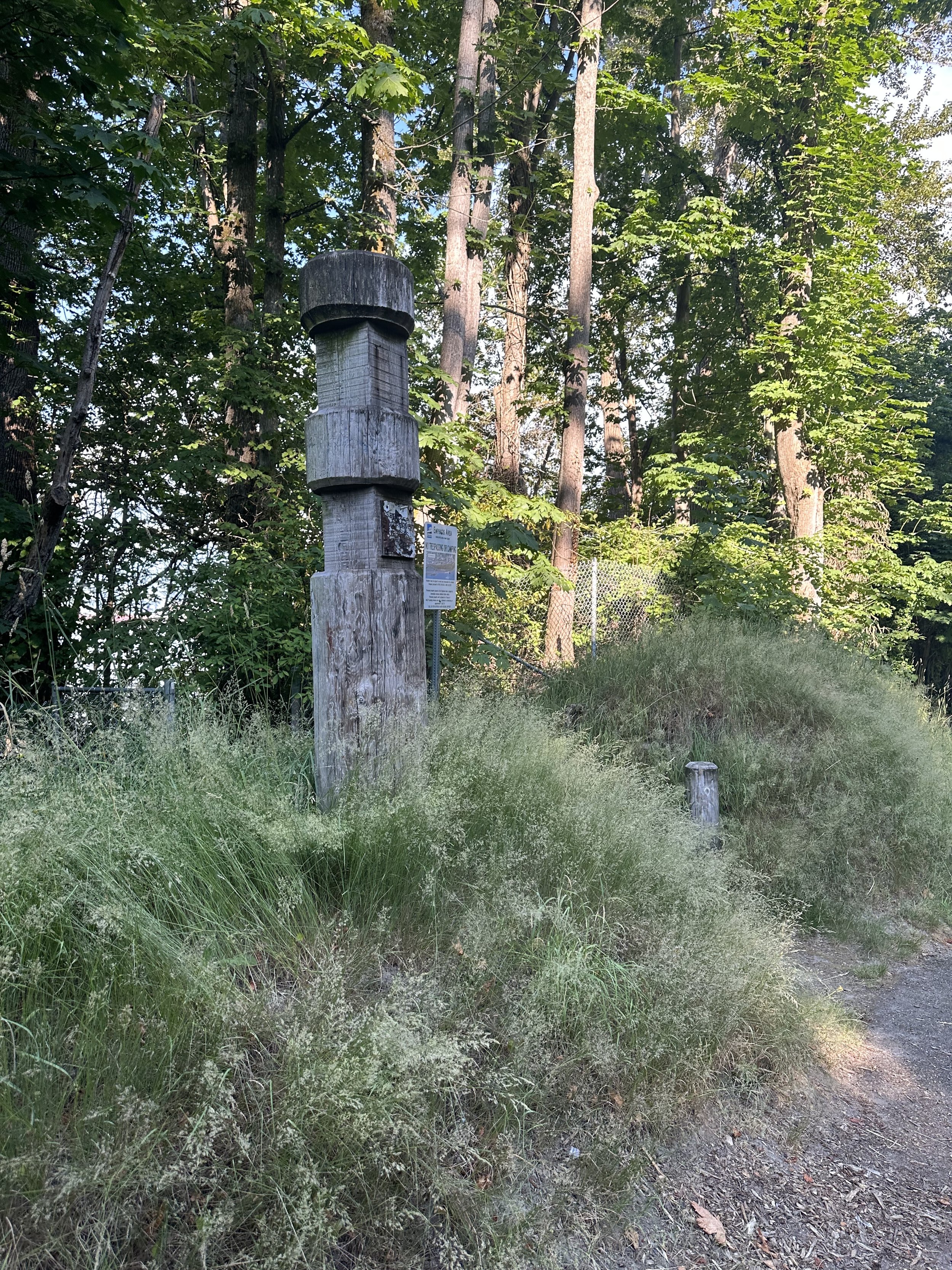 2023 image 12