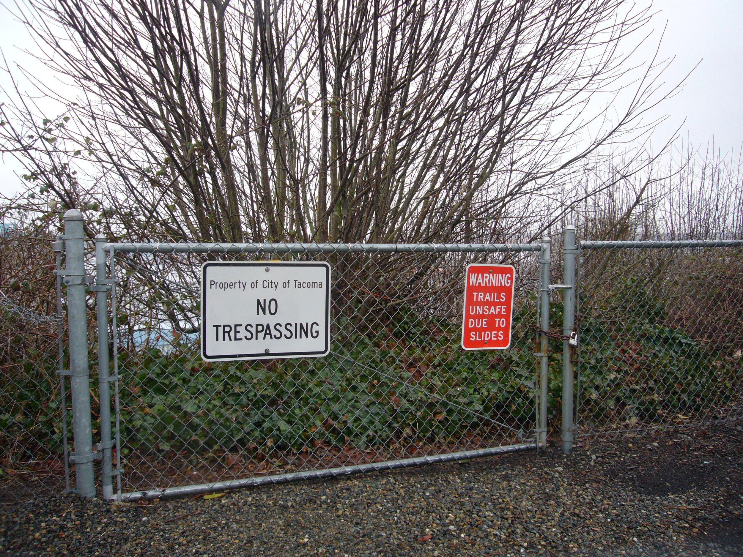 2011 image 17