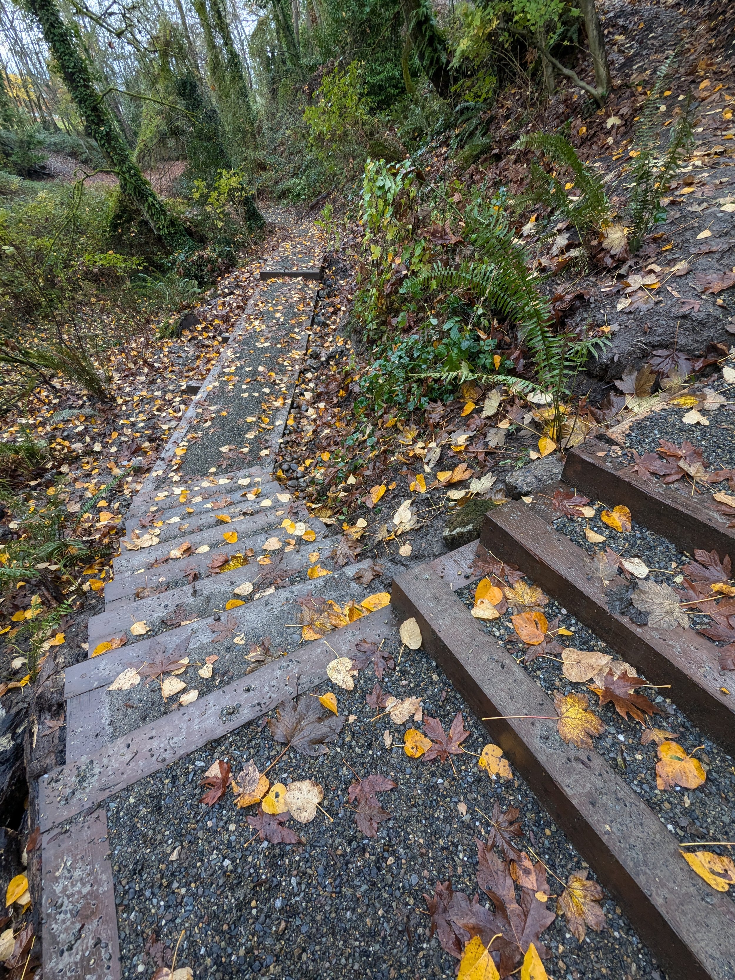2024 image 127