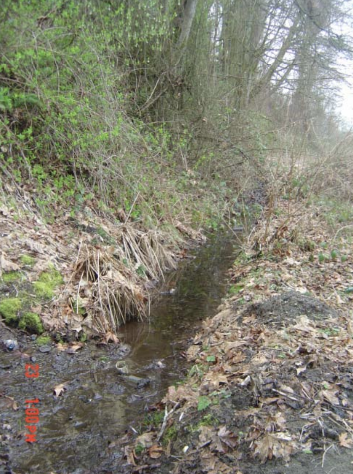 2011 image 9