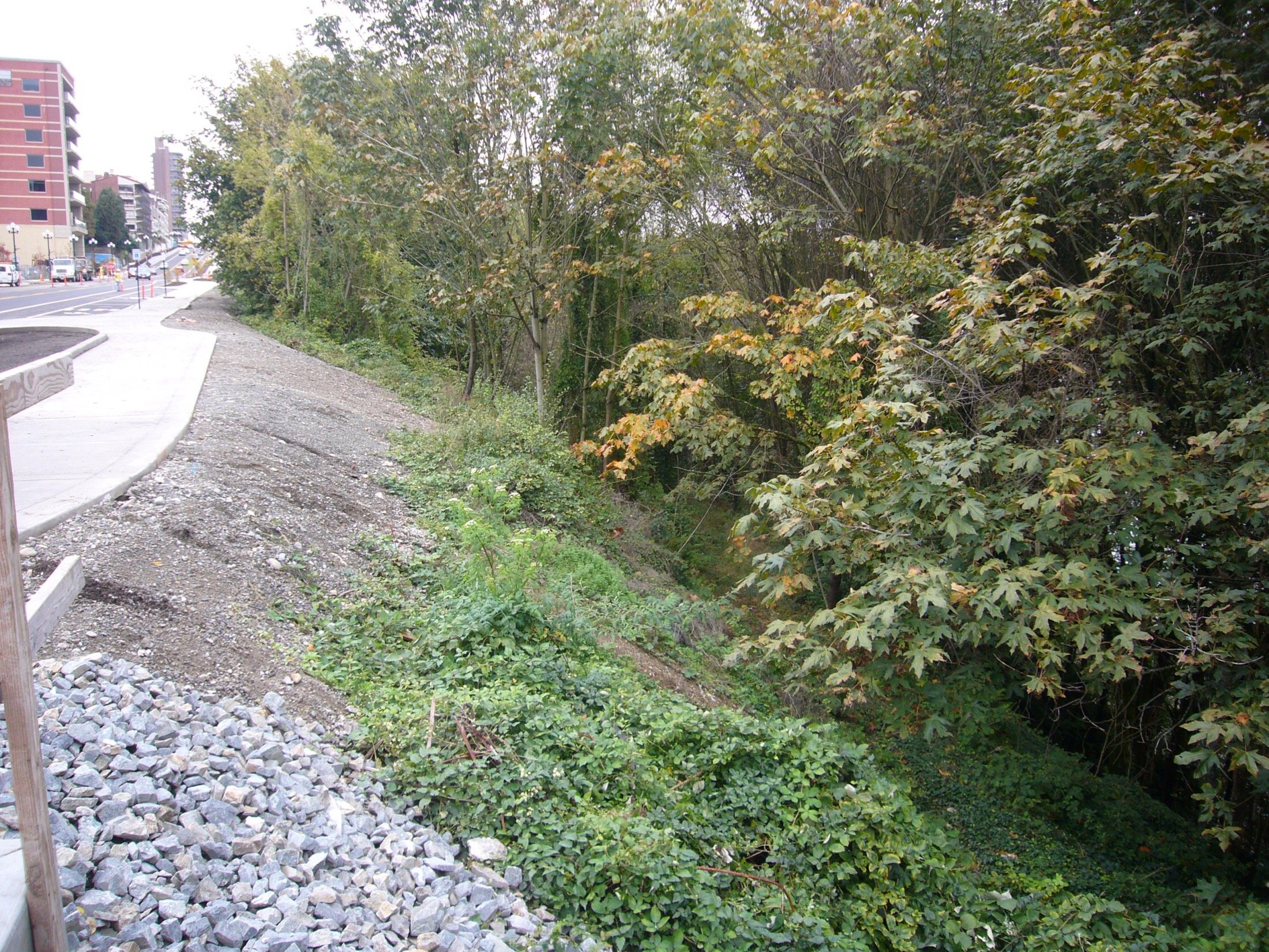 2013 image 7