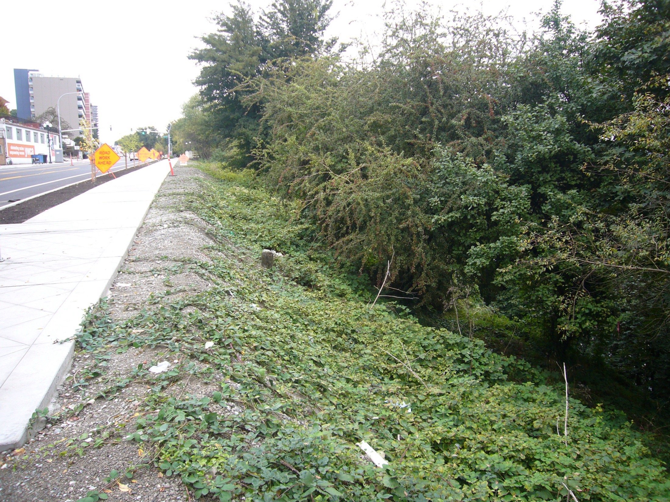 2013 image 6