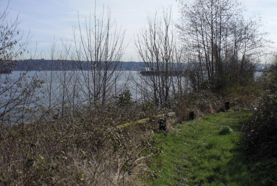 2011 image 6