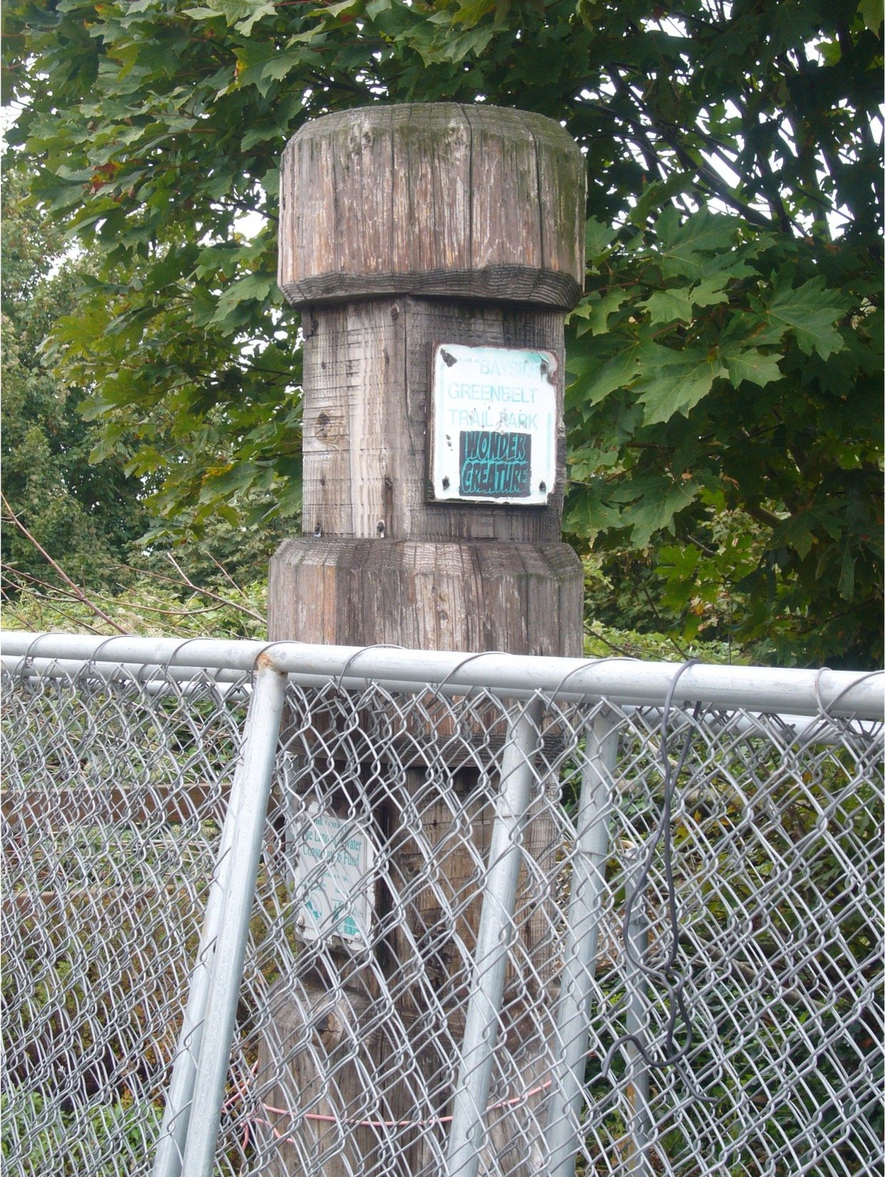 2013 image 2