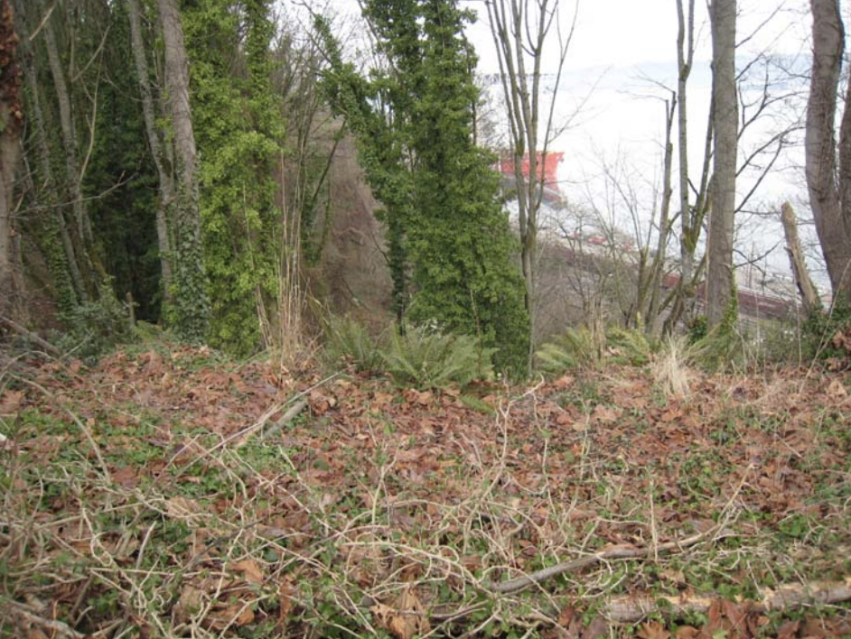2011 image 14
