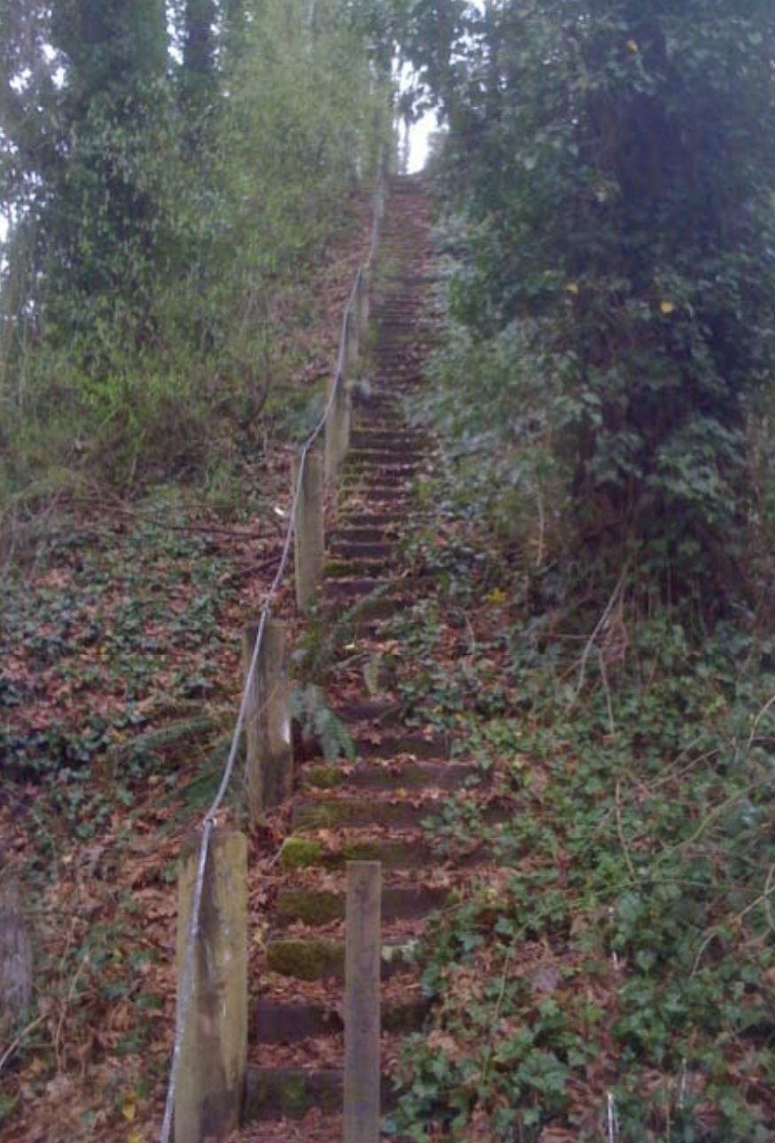 2011 image 12