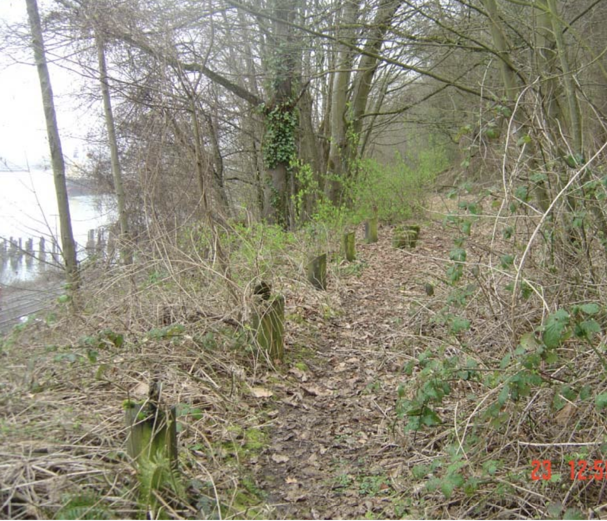 2011 image 8