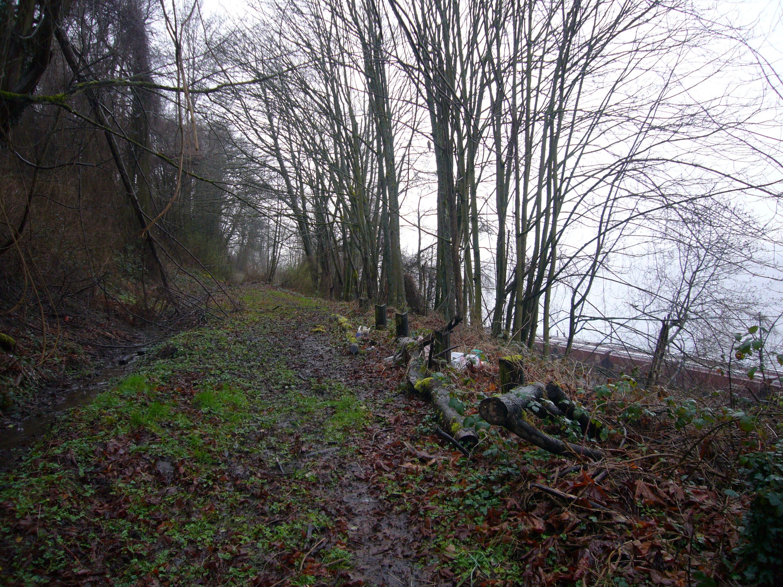 2011 image 23