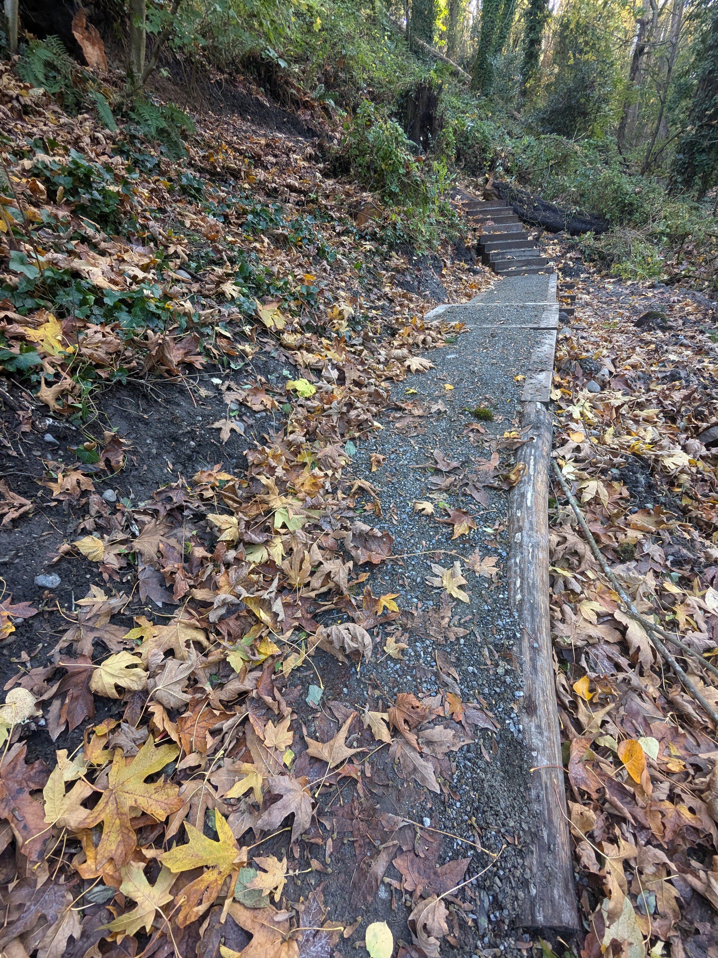 2024 image 122