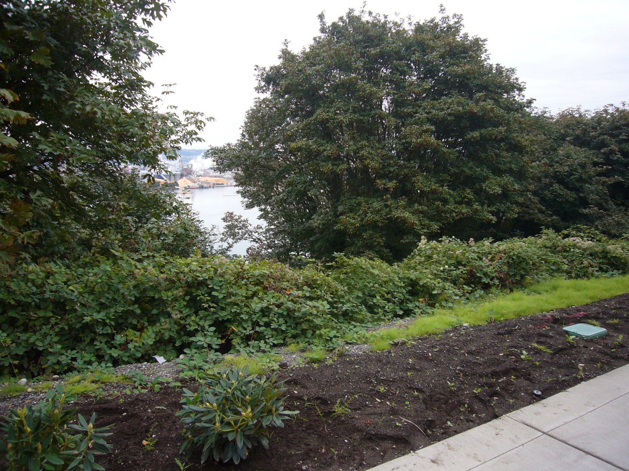 2013 image 10