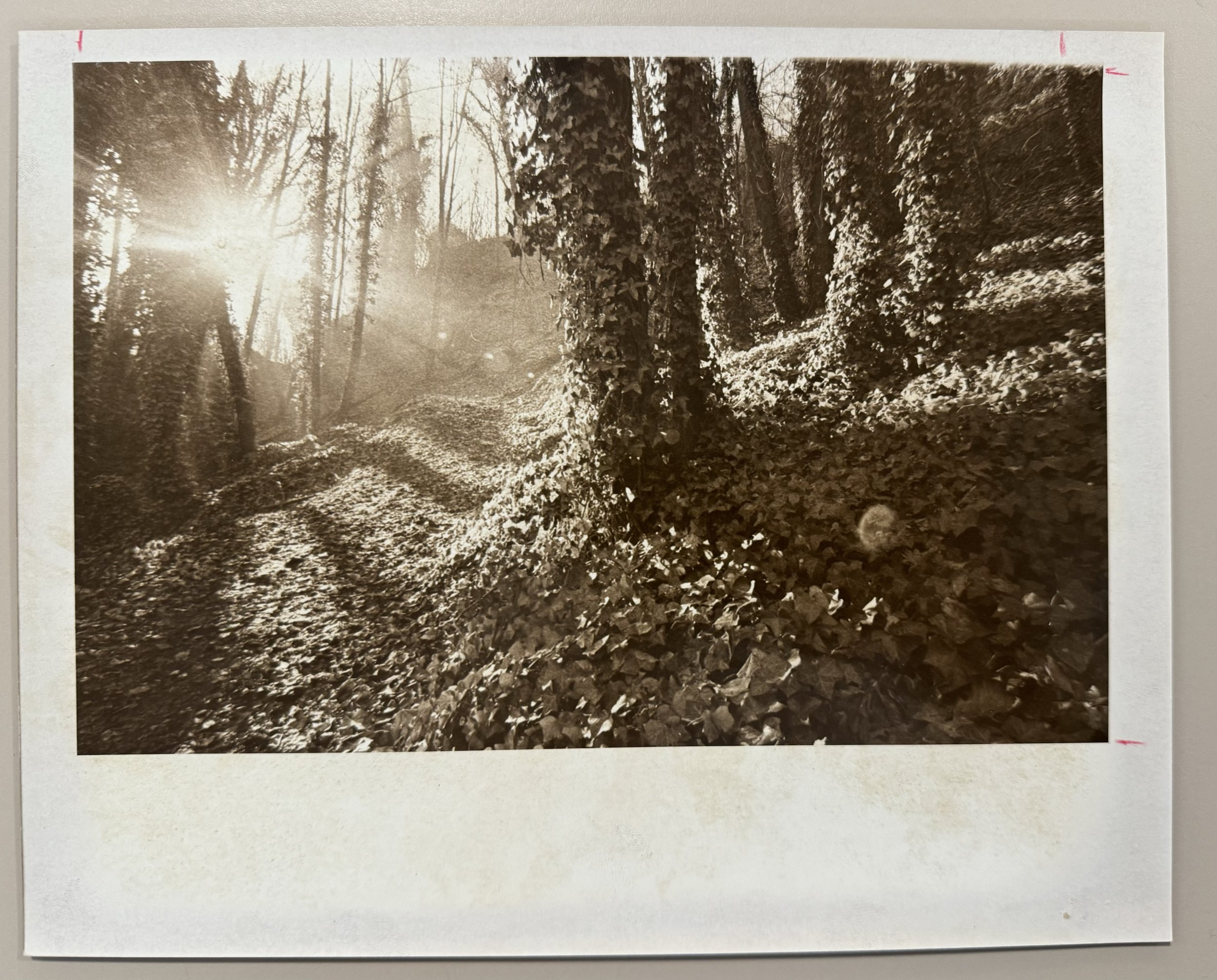 1977 image 5