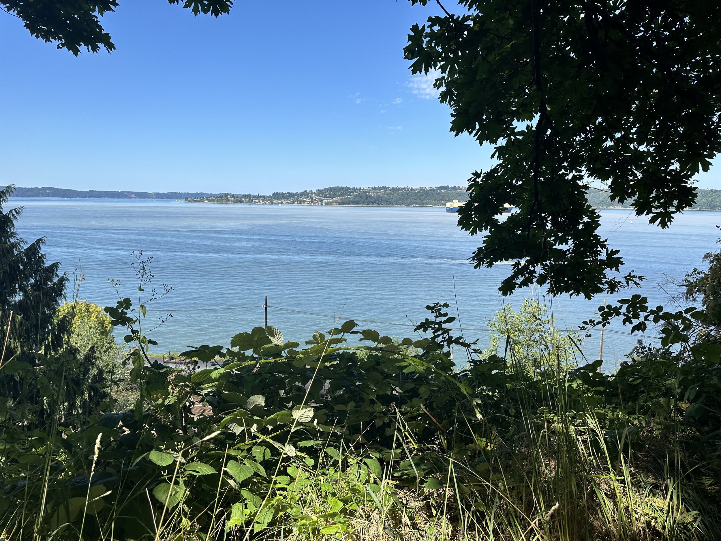 Bayside Trails overview